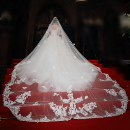 実例写真！ロングベール コーム付き 美しい花レース シアーな美しさ フランス風 拳式/前撮り