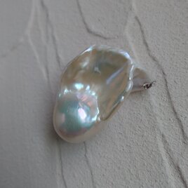 　金魚バロック【ヒレ真珠】