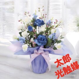 光触媒　人工観葉植物　ウォールグリーン　フェイクグリーン　ブルーレイン