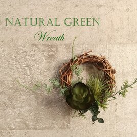 【光触媒加工】手のひらサイズの空気清浄機。空気を綺麗にする小さな森。多肉植物と天然つるのミニリース