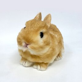 ＜受注制作＞うさぎのぬいぐるみ　ネザーランドドワーフの赤ちゃんのコピー
