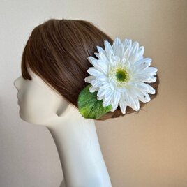 大輪の純白のガーベラと葉っぱの髪飾り　Uピン　フラメンコ　ダンス　ガーベラ　白