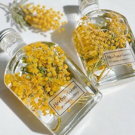 春を告げるミモザのハーバリウム  spring   フラワーギフト 母の日　送別会