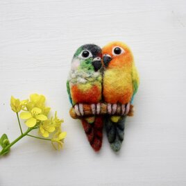 ウロコインコとコガネメキシコインコの羊毛フェルトブローチ