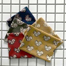 インド ブロックプリント生地 ミニカットクロス5枚セットBagru りす ファブリック はぎれIF0488