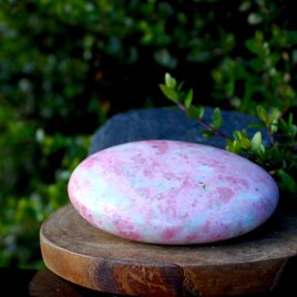 ピンクチューライト　パームストーン