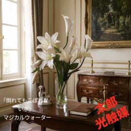 光触媒　人工観葉植物　ウォールグリーン　フェイクグリーン　マジカルウォーター