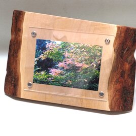 木製写真立て 壁掛け対応 Ｎｏ.4　胡桃の天然木（KG-25）