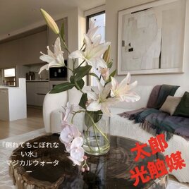 光触媒　人工観葉植物　ウォールグリーン　フェイクグリーン　マジカルウォーター