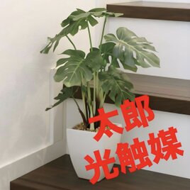 光触媒　人工観葉植物　ウォールグリーン　フェイクグリーン　モンステラポット