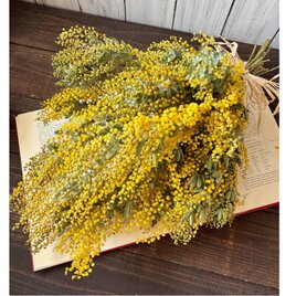 ミモザのすごいボリュームスワッグ大サイズ ドライフラワー ブーケ