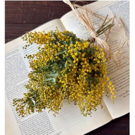 ミモザのすごいボリュームスワッグ小サイズ ドライフラワー ブーケ