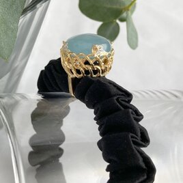 シュシュポニー　春