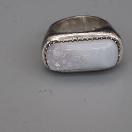 時にはドルジーを