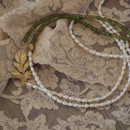 白いヒヤシンス　アイドグレース