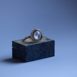 【指輪】朝の光