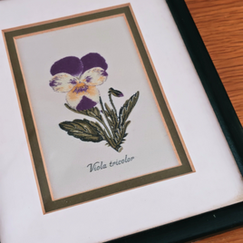 ヴィオラ　英国ヴィンテージ　キャッシュ社　シルク織　J.&J. Cash　ヴィンテージ　フレーム　イギリス