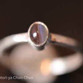【小鳥屋評価4/5　強変化！】タイで厳選　アレキサンドライトキャッツアイ・シルバーリング【青ノ閃】