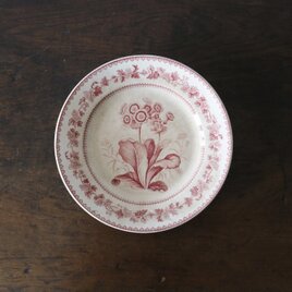 Creil クレイユ 平皿 植物柄 20.5cm フランス アンティーク b 0502341