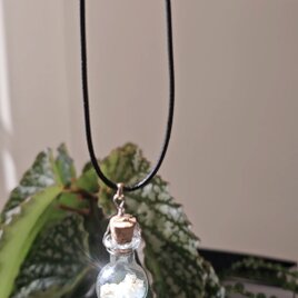 「コドナンテの花弁入り　月のしずくの小瓶ネックレス  ― ムーンストーン × アクアマリン」