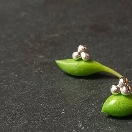 Utoka  ☆silver  粒 ピアス