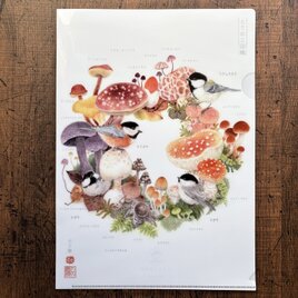 クリアファイル〈A4サイズ〉とりのこ図鑑・カラ菌