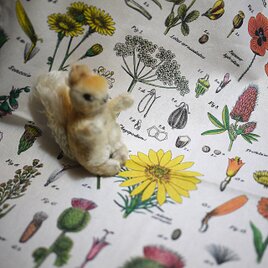 ワイルドフラワー　ティータオル　ショート　Cavallini　アメリカ