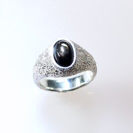 Sv925 ブラックスターサファイアリング 3.18ct