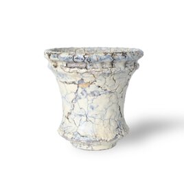 パルバコステリッチオ / M / 白亀裂（鉢・プランター）