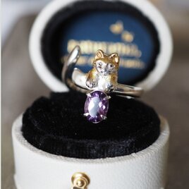 寄り添う茶白猫とアメシストのシルバーリング