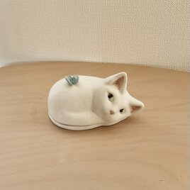 白い子猫とちょうちょの蓋もの