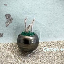 Garden eels（チンアナゴ）