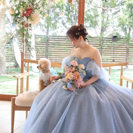 実例写真！カラードレス ライトブルー オフショルダー キラキラチュール プリンセスライン 編み上げ 可愛い 花嫁 前撮り