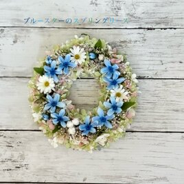 笑顔あふれる！ブルースターのスプリングリース