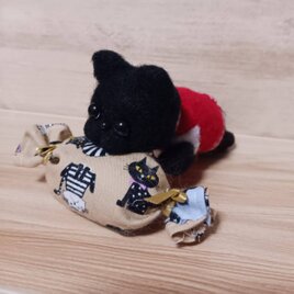 キャンデークッションの上目使いの黒猫ちゃん