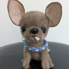 ぬいぐるみ☆チワワ☆子犬☆茶☆ベロ