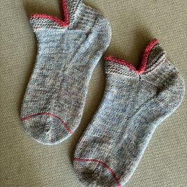 No.1581 うつぼソックス254匹め