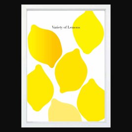 レモンバラエティ　フルーツ　送料無料 　sei新着作品/新着順　イラスト　ポスター　アートポスター　4111