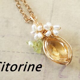 金色に輝く2輪の花シリーズ１
