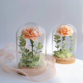 【母の日】カーネーションのガラスドーム  spring