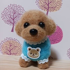愛らしい羊毛フェルト トイプードル 水色服 クマワッペン　似合ってるね