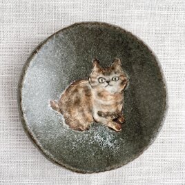 じっと見つめるキジ猫の豆皿 9cm｜青緑の陶器プレート｜手描き一点もののコピー