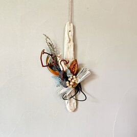Botanical Wall Object ― 流木の標本 02