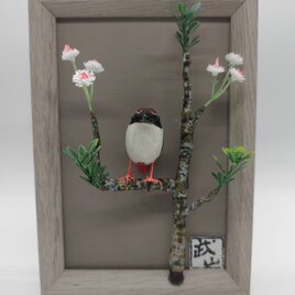 ヤイロチョウ（ミニミニ額）【木彫品】