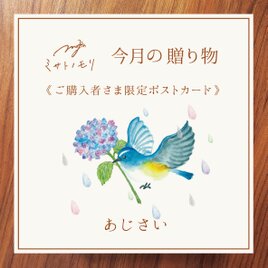 《 今月のお花 》ギフトラッピング用・限定ポストカード｜季節のお花とルリビタキ