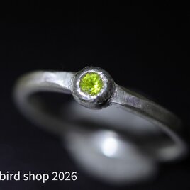 【黄金の名を冠する宝石】トシッタさんのスリランカ産クリソベリル・シルバーリング【小金丸】
