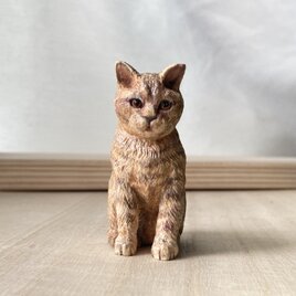 森から訪れた小さな相棒(木彫りブリティッシュショートヘア）