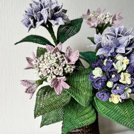 籐の花　アジサイの花