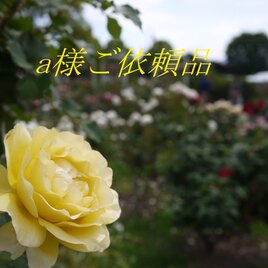 ＊a様ご依頼品