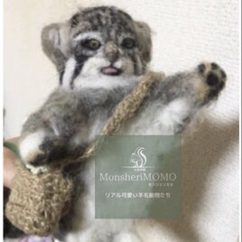 しまい忘れた舌がチャームポイント♪ ミニマヌルネコの招き猫